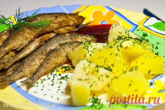 Финская кухня | Кулинарные заметки Алексея Онегина