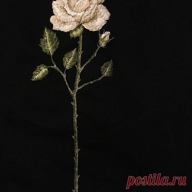 ✨Le classic ✨
.
.
.
.
.
#embroidery #embroideryart #embroideryfloss #embroiderylove  #feelingstitchyig #fiberart #handembroidery #makersgonnamake #makersmovement #needlecraft #craftsposure #embroideryinstaguild #floralembroidery #flowerembroidery #needleart #em_hm #botanicalillustration #botanical #handmadecurator #vancouver #vancouverartist #eastvan #embroideryinstaguild