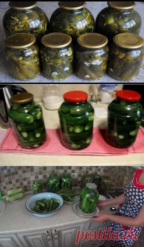 (53) Одноклассники