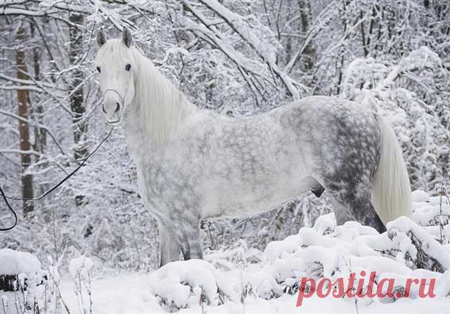 Фотографии / в Кругу Друзей - социальная сеть