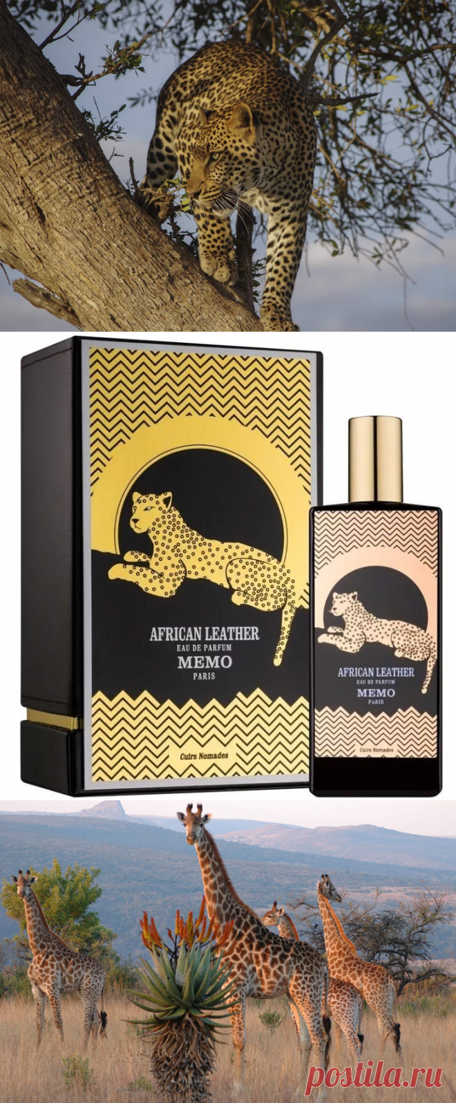 African Leather: любимый аромат от бренда Memo Paris | FazaАромата. Блог о парфюмерии | Пульс Mail.ru