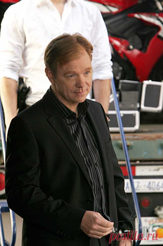 Дэвид Карузо