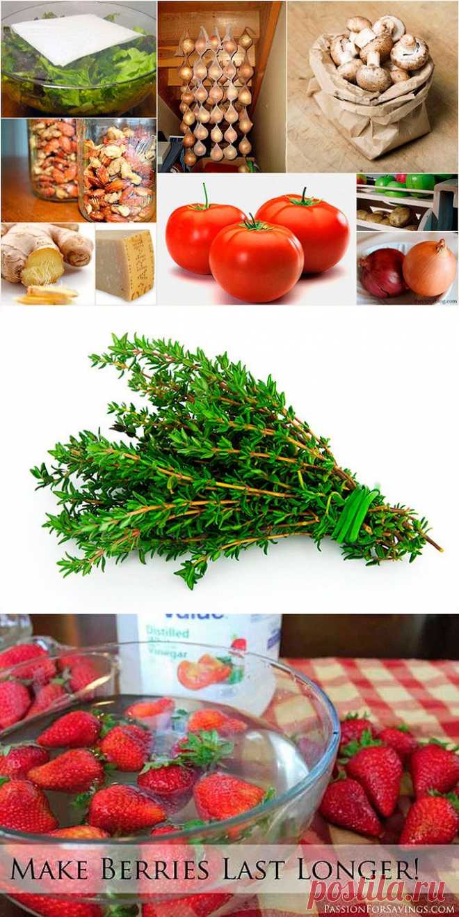 (+1) тема - Как правильно хранить продукты | Полезные советы