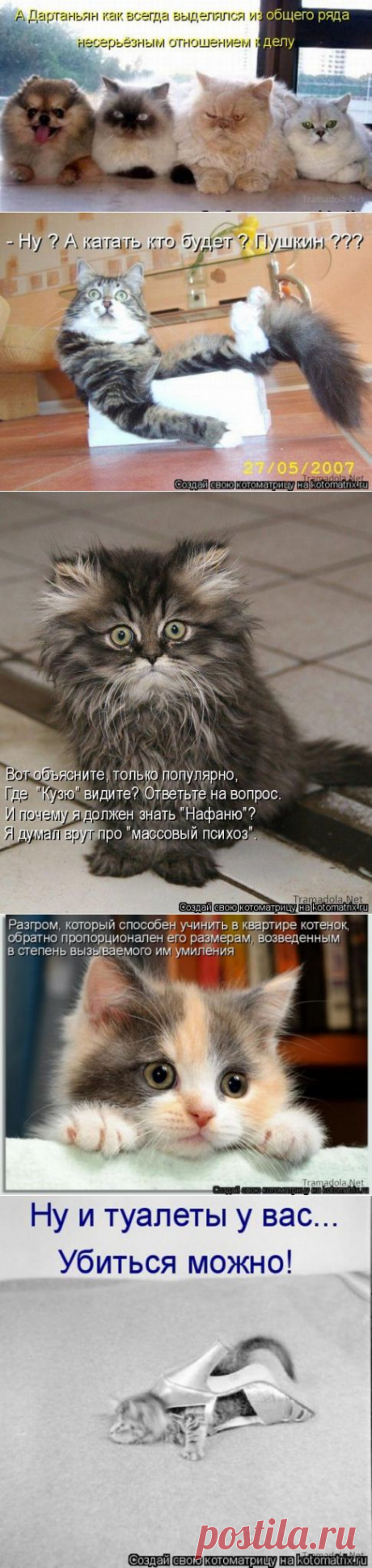 Несерьезные отношения (котоматрица)