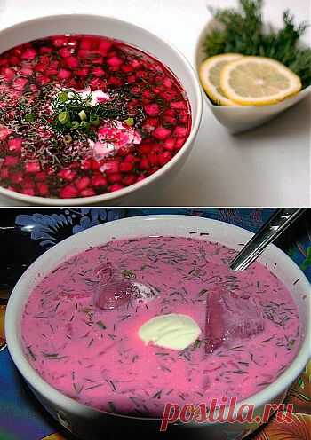 Как приготовить холодный свекольник вкусно и просто | Все ответы тут