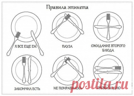 В наше время мало кто знает правила этикета.. Сохрани себе на страничку и  не забывай!