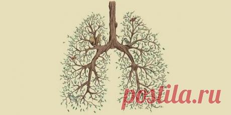 Как учили дышать наши предки?