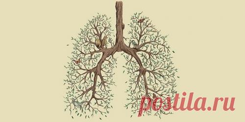 Как учили дышать наши предки?