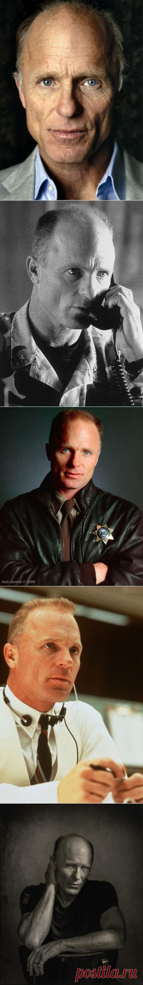 Эду Харрису — 65!