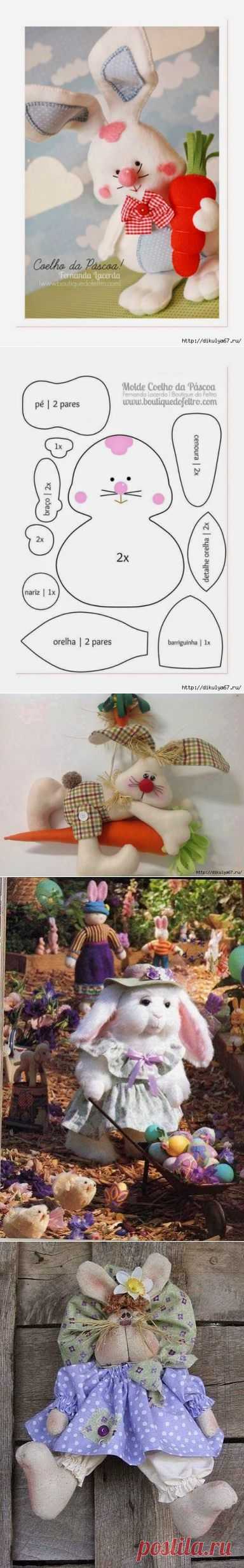 И снова зайцы)