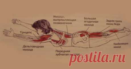Мамам, женщинам, бабушкам и очень любознательным.