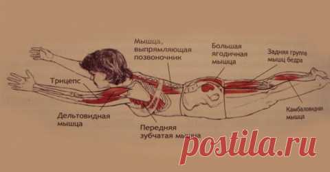 Мамам, женщинам, бабушкам и очень любознательным.