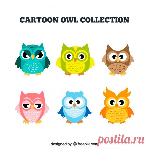 Коллекция мультяшных сов в разных цветах Более миллиона свободных векторов, PSD, фотографии и бесплатные иконки. Эксклюзивные халявы и все графические ресурсы, которые необходимые для ваших проектов