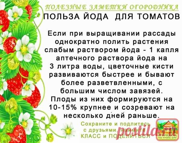 Екатерининский | Садовые растения, цветы,саженцы