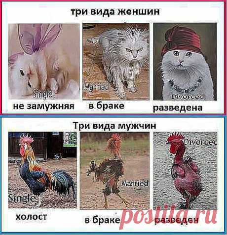 КАК ВСЁ ПРОСТО...