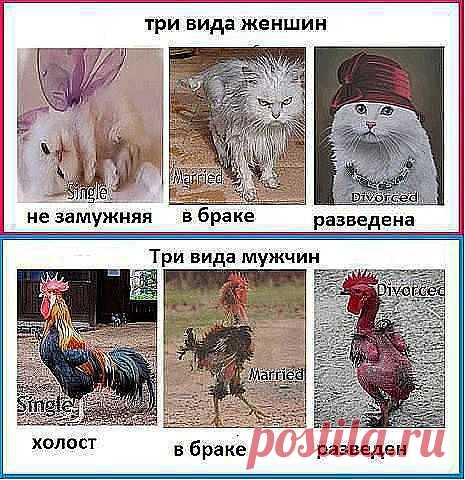КАК ВСЁ ПРОСТО...