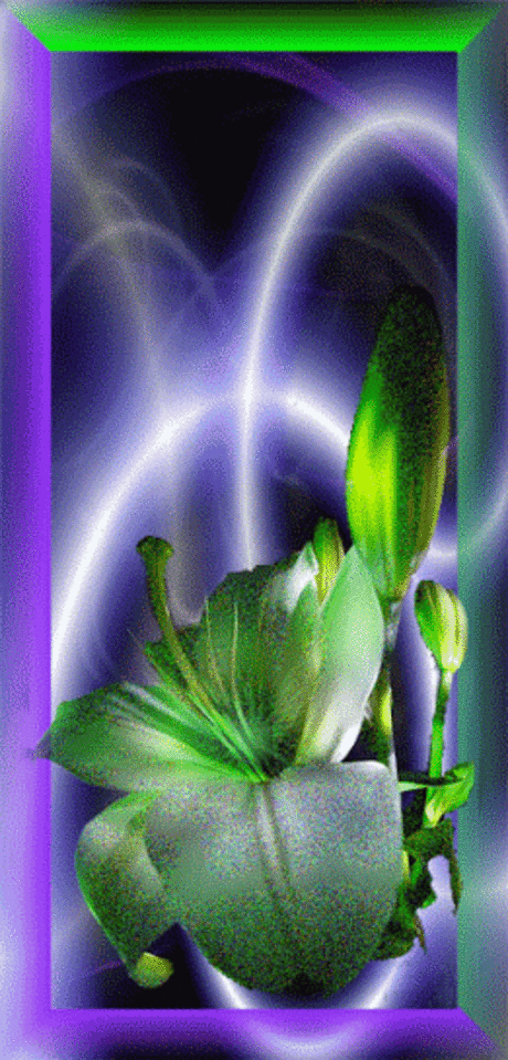 Decent Image Scraps: Flowers 1