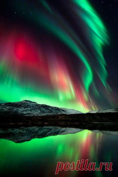 Environment.  
Northern lights in northern Norway. Stunning!   |   Pinterest • Всемирный каталог идей