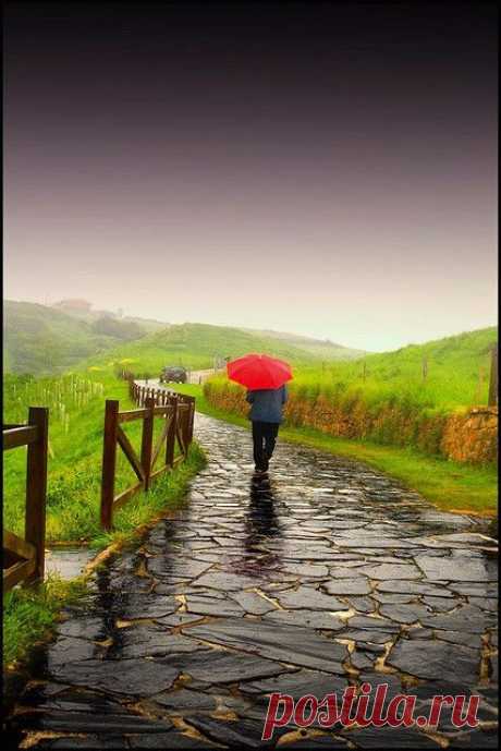 Найдено на сайте justbelieve2him.tumblr.com.