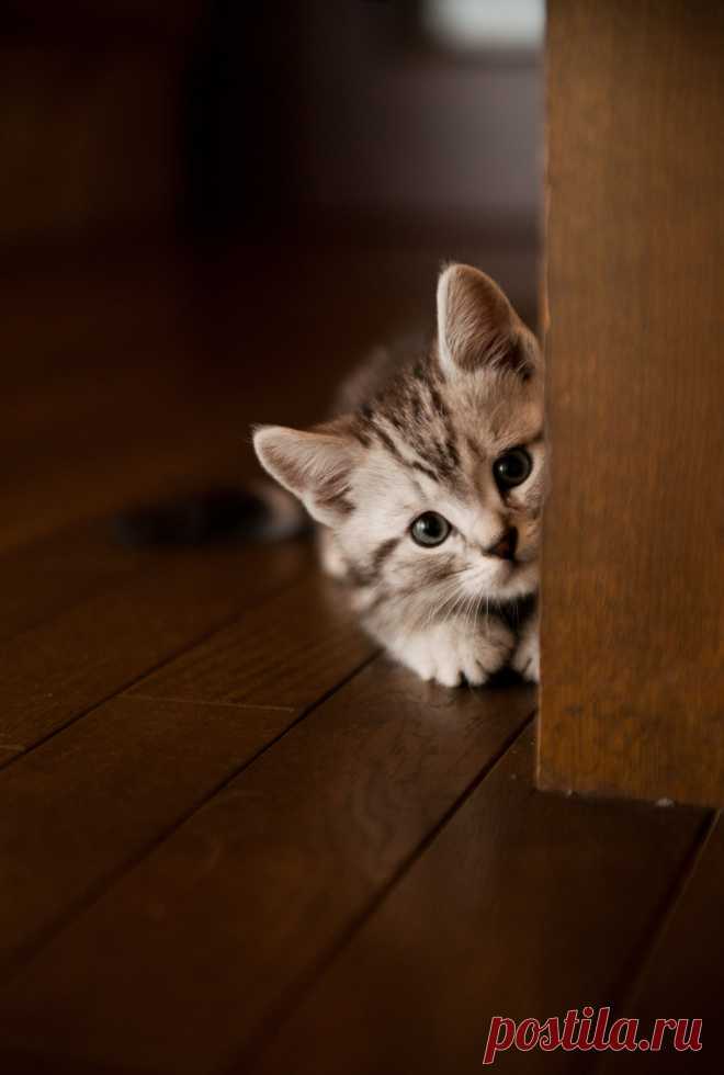 All sizes | Hide-and-Seek | Flickr - Photo Sharing!
