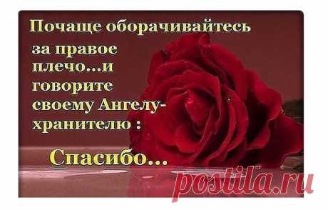 ангел мой будь со мной ты впереди я за тобой: 8 тыс изображений найдено в Яндекс.Картинках