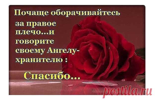 ангел мой будь со мной ты впереди я за тобой: 8 тыс изображений найдено в Яндекс.Картинках