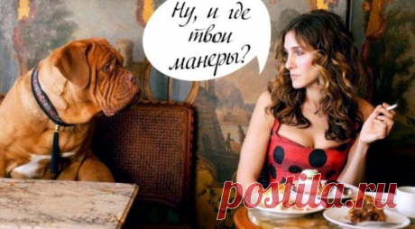 18 правил хорошего тона, которые стыдно не знать