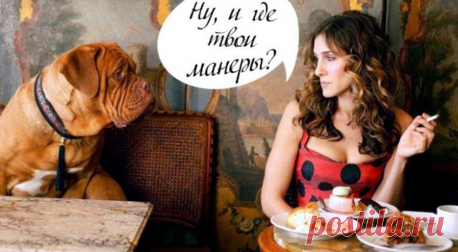 18 правил хорошего тона, которые стыдно не знать