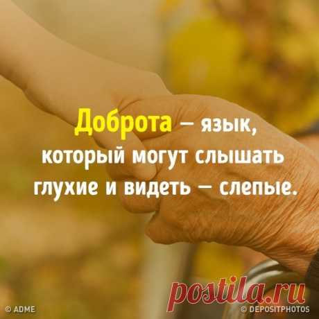 10 историй, которые доказывают, что мир спасет именно доброта: bit.ly/2DAuX8A: