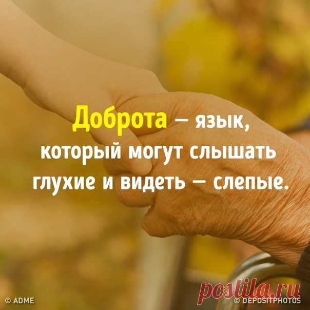 10 историй, которые доказывают, что мир спасет именно доброта: bit.ly/2DAuX8A: