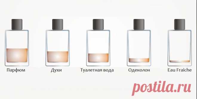 Духи, туалетная вода, парфюм ... Разница!! Я впечатлена!!! Буду помнить об этом всегда! И не дам себя обмануть хитрым консультантам !!!