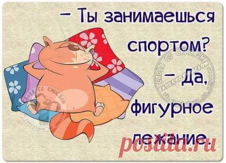 Веселые шутки и истории для поднятия настроения