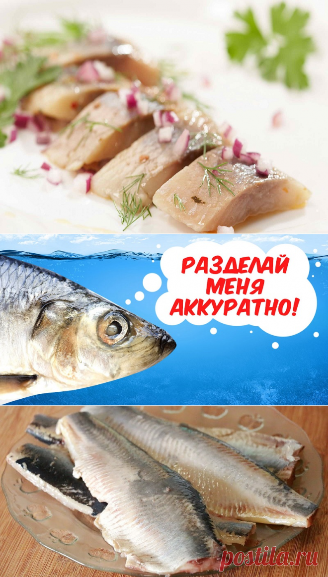 Очистить сельдь от костей одним движением