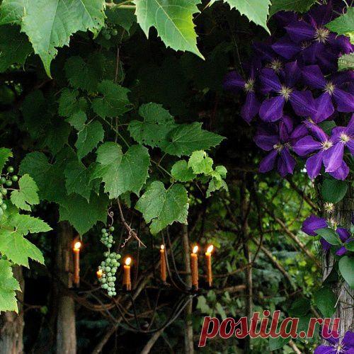 БЛИЦ-РЕЦЕПТЫ ДЛЯ ЖИВЫХ ШИРМ