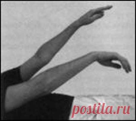 Пробы на выявление пирамидной недостаточности Во время определения степени выраженности пареза часто возникают трудности при оценке легких двигательных нарушений (пирамидной недостаточности, реже легкого пареза), при которых объем активных и пассивных движений, мышечная сила и тонус практически не отличаются от нормы. В этих случаях следует…
