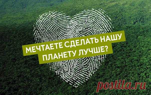 Вклад в будущее планеты! Сделайте мир лучше! Получите грант на развитие Вашего проекта по защите окружающей среды. Подробности тут: