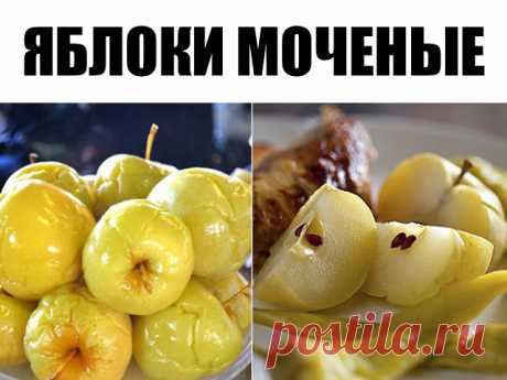 Яблоки мочёные. Простой и вкусный рецепт 

Для замачивания возьмем яблоки сорта Антоновка. 

Серединку не вырезаем. 

В кастрюлю на дно кладем листья смородины, затем яблоки укладываем хвостиками вверх. 

Каждый слой перекладываем смородиновыми листьями. Можно вместо смородины переложить мелко нарезанной овсяной соломой. 

Заливаем яблоки холодным сиропом и кладем сверху гнет. 

На каждые 10 л воды — 400 г сахара и 3 ст. ложки соли. Кипятим и охлаждаем. Можно вместо сахара...