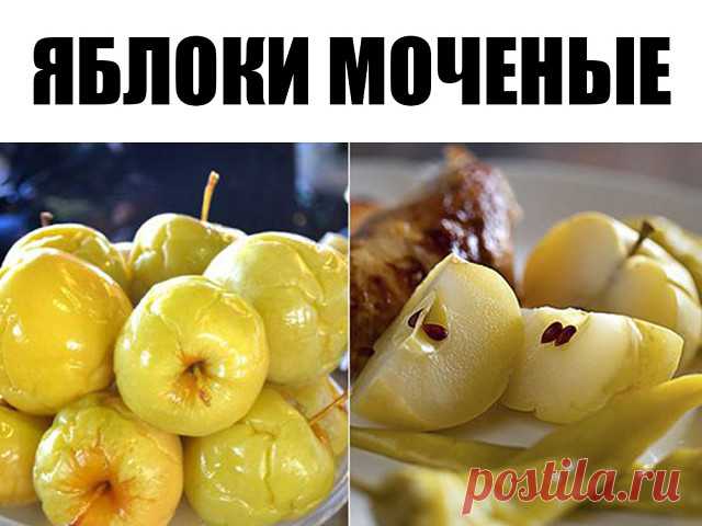 Яблоки мочёные. Простой и вкусный рецепт 

Для замачивания возьмем яблоки сорта Антоновка. 

Серединку не вырезаем. 

В кастрюлю на дно кладем листья смородины, затем яблоки укладываем хвостиками вверх. 

Каждый слой перекладываем смородиновыми листьями. Можно вместо смородины переложить мелко нарезанной овсяной соломой. 

Заливаем яблоки холодным сиропом и кладем сверху гнет. 

На каждые 10 л воды — 400 г сахара и 3 ст. ложки соли. Кипятим и охлаждаем. Можно вместо сахара...