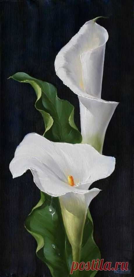 (1) Pinterest