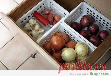 Как правильно хранить овощи..