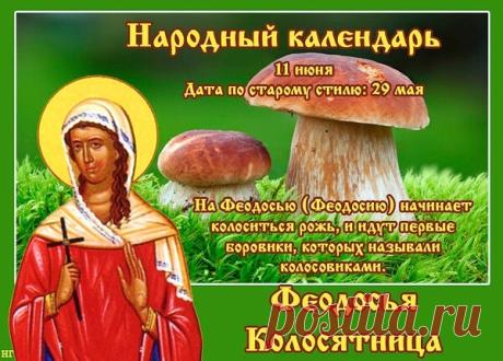 В этот светлый летний день Феодосии Колосяницы хочу пожелать, чтобы в твоей жизни всё колосилось, цвело и приносило богатый урожай! Открытки на Феодосия Колосяница!