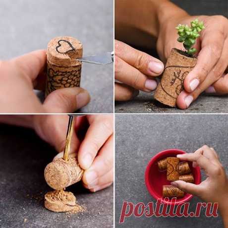 (6) Facebook