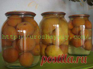 Фруктовый компот на зиму | Урожайная дача