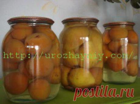 Фруктовый компот на зиму | Урожайная дача