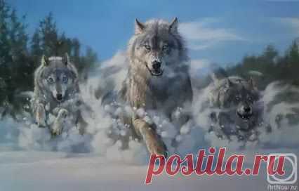 Популярное – Google+