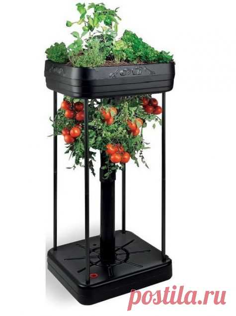 Современные гаджеты для дачи - Садоводка