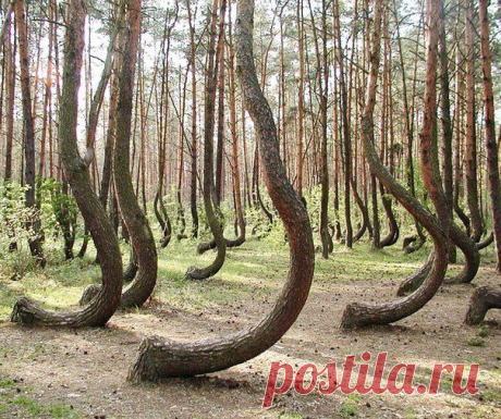 Фотографии на стене сообщества | 32 772 фотографии