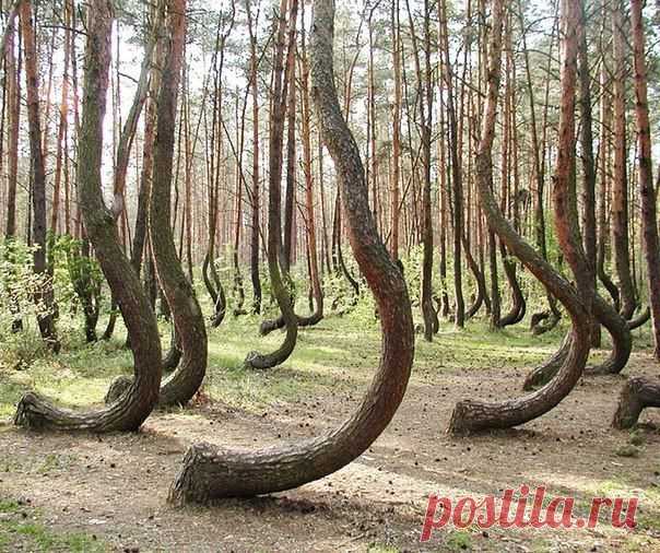 Фотографии на стене сообщества | 32 772 фотографии