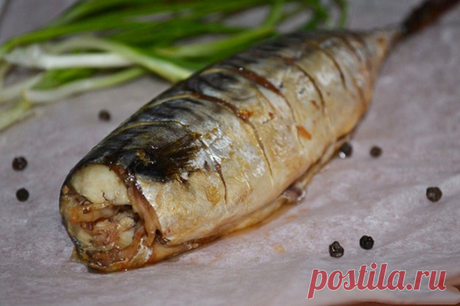 Быстрая скумбрия — Домашний уют