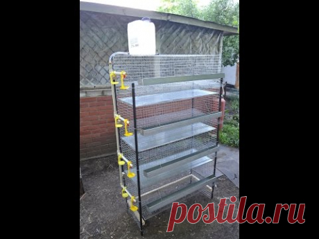 Простейший способ сделать многоярусную клетку для перепелов. How to make a cage for quail